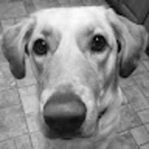 Meet your Posher, Kennedy